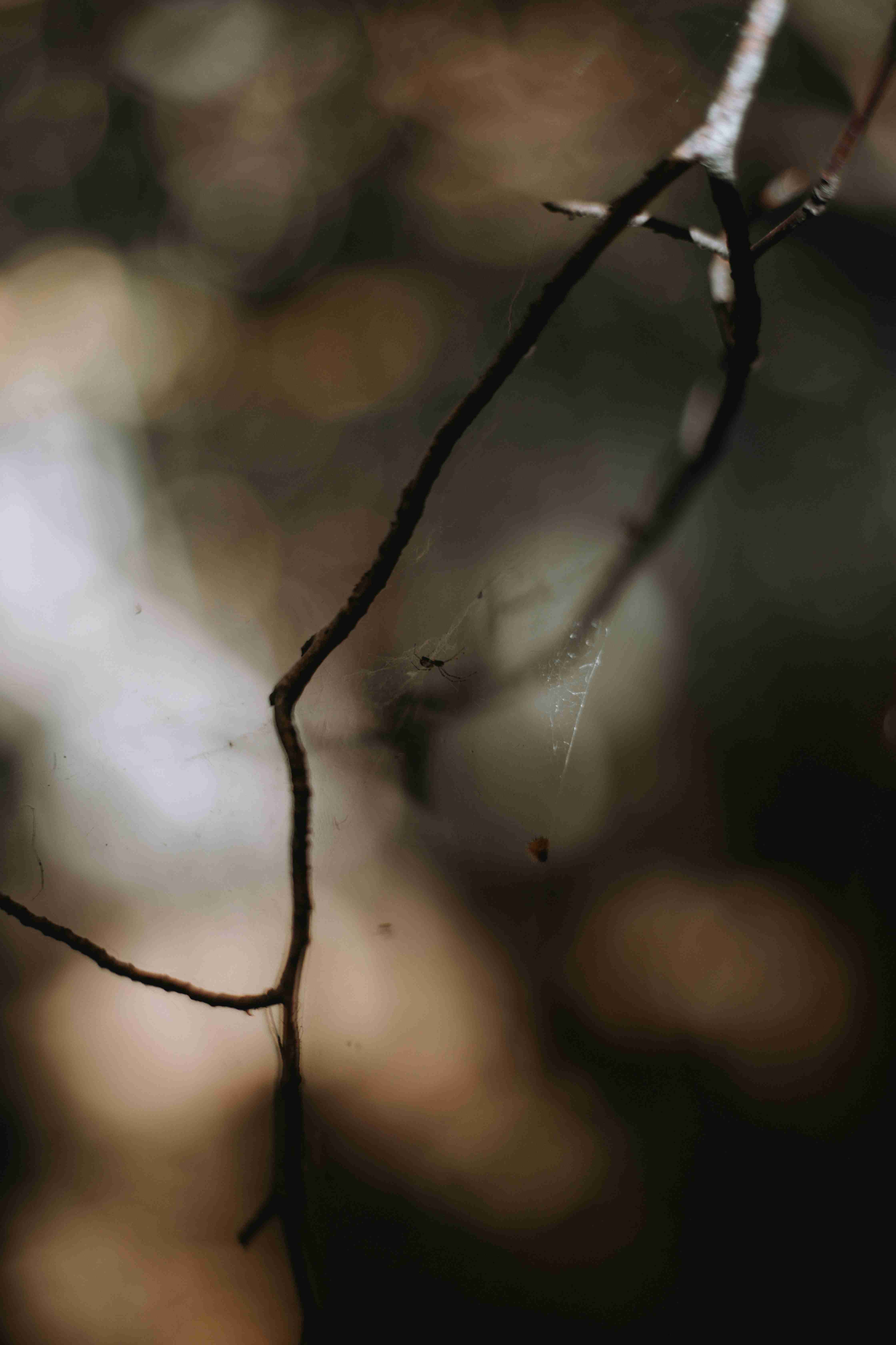 Lifestyle fotografia Trnava - zachytené spomienky - LivinPortraits fotograf